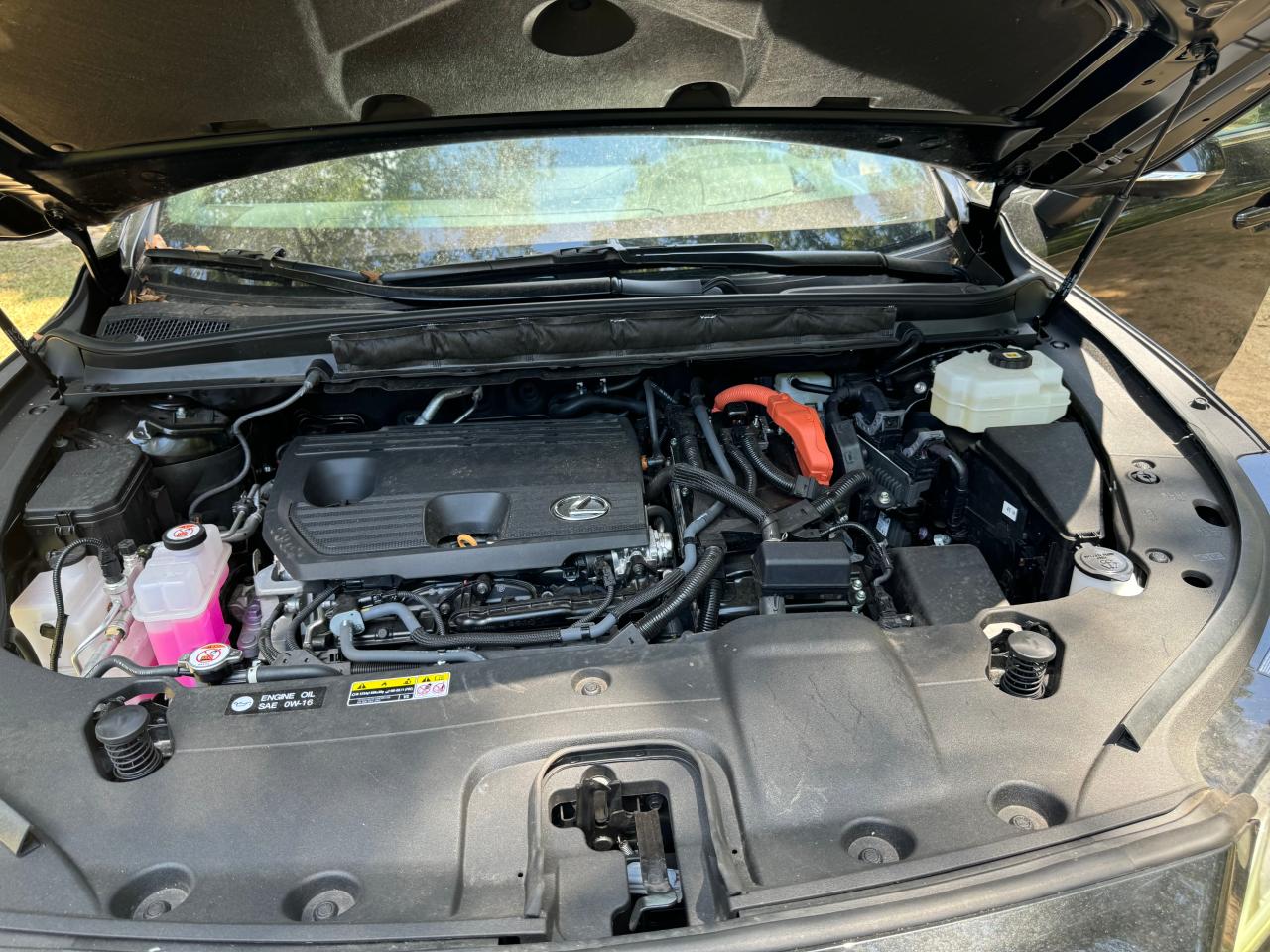 2023 Lexus Rx 350H Base VIN: 2T2BBMCA5PC010579 Lot: 67630754