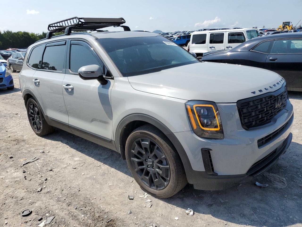 2022 Kia Telluride Ex VIN: 5XYP3DHC7NG282036 Lot: 65824744