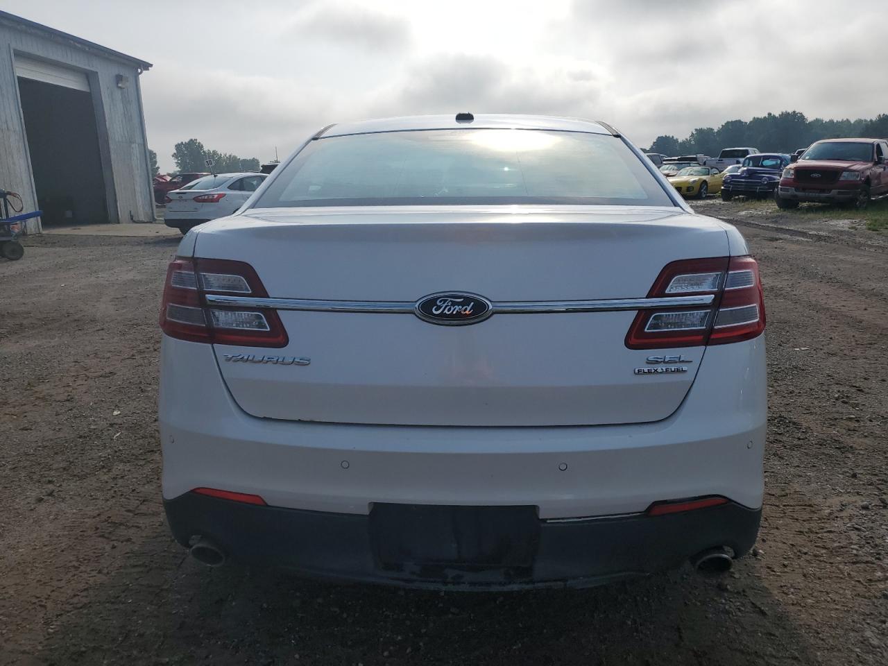 2013 Ford Taurus Sel VIN: 1FAHP2E88DG135884 Lot: 65460294