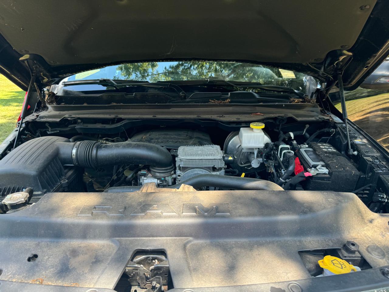 2023 Ram 1500 Big Horn/Lone Star VIN: 1C6RREFT1PN523057 Lot: 67631014