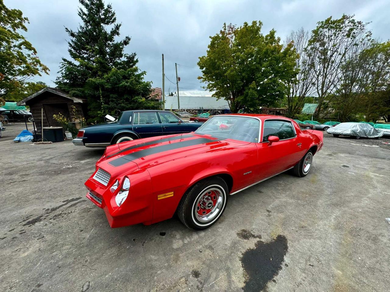 1979 Chevrolet Camero VIN: 1Q87G9N572684 Lot: 67126354