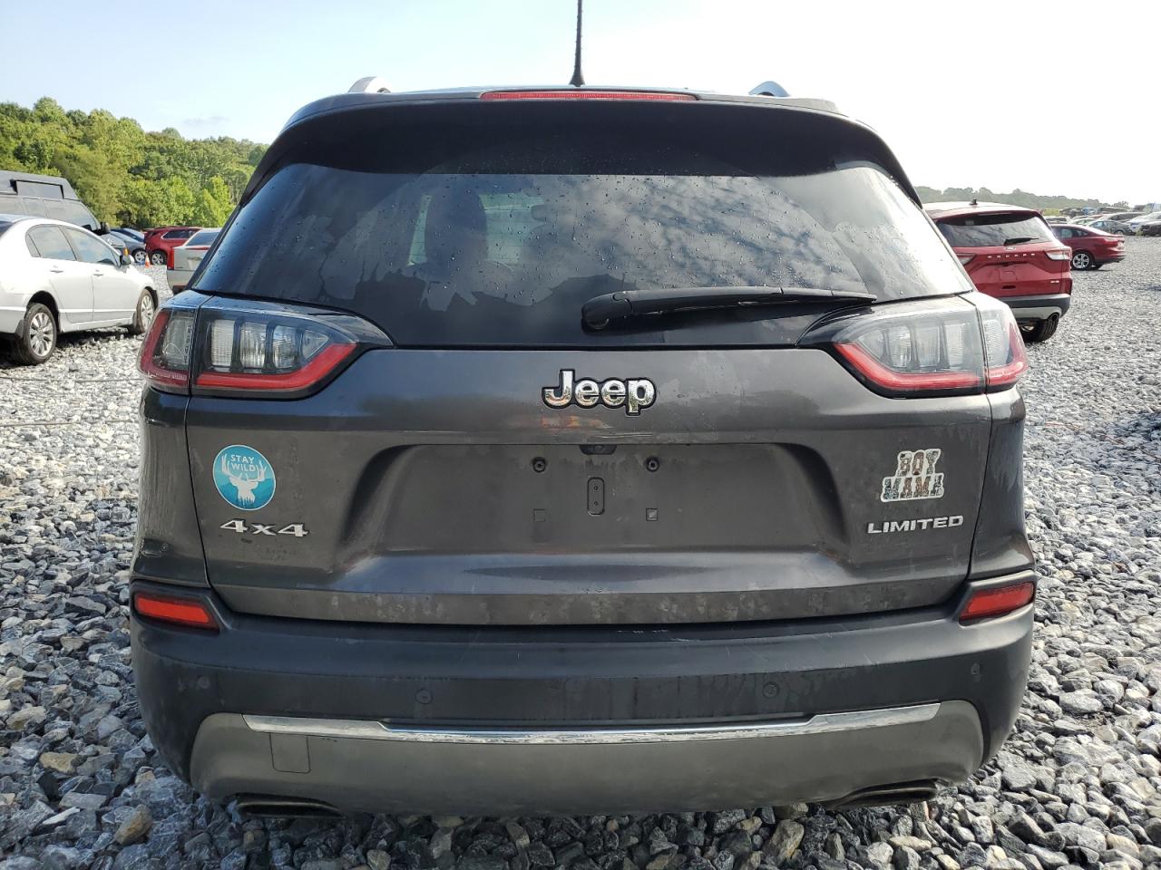 2019 Jeep Cherokee Limited VIN: 1C4PJMDN4KD195153 Lot: 68504664