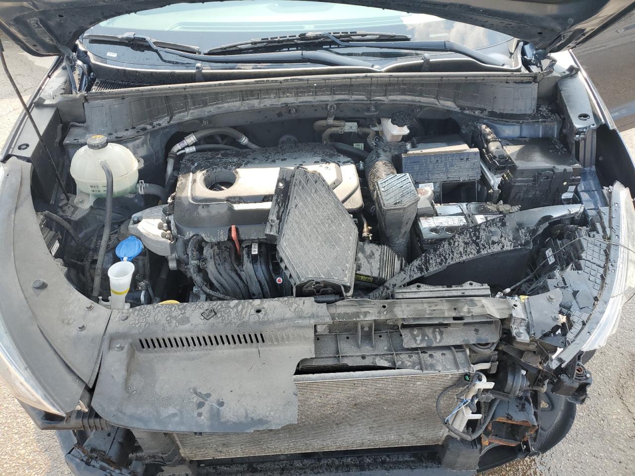 2019 Hyundai Tucson Limited VIN: KM8J33AL3KU898509 Lot: 65737524