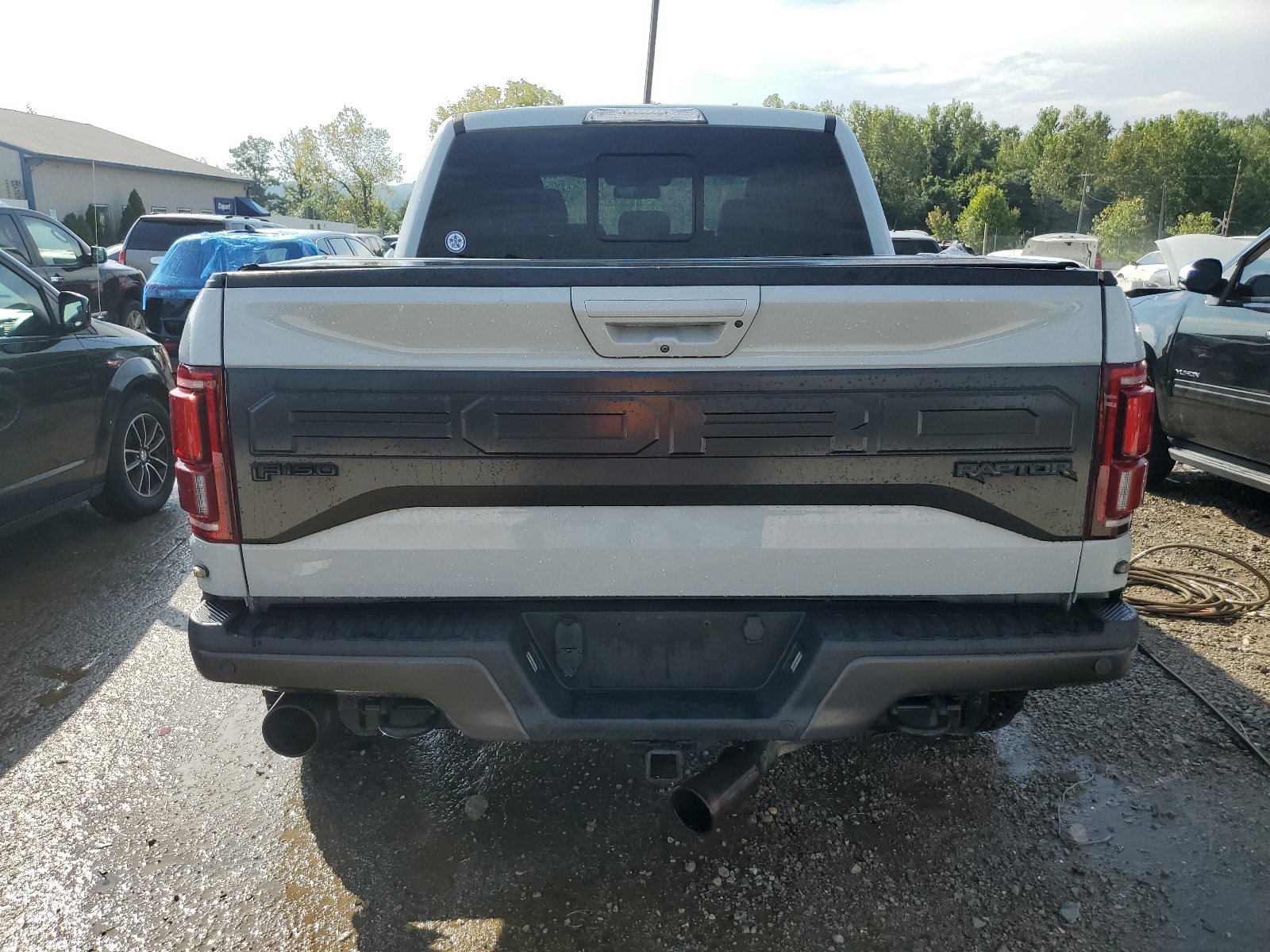 1FTFW1RG2HFB24441 2017 Ford F150 Raptor