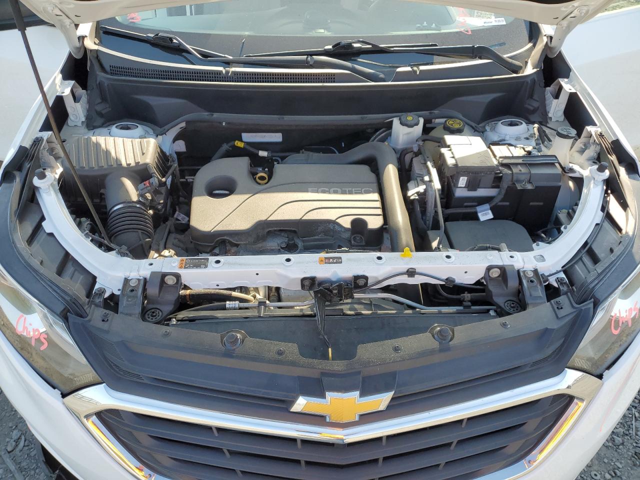 2019 Chevrolet Equinox Ls VIN: 2GNAXSEV7K6153377 Lot: 65613464