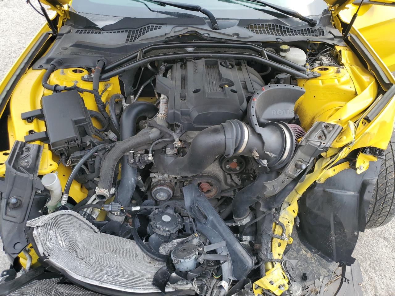 2015 Ford Mustang VIN: 1FA6P8TH5F5367998 Lot: 65739944