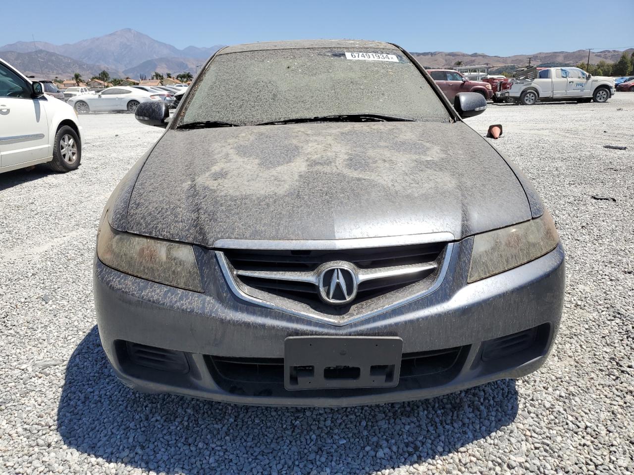 2005 Acura Tsx VIN: JH4CL95895C002356 Lot: 67491934