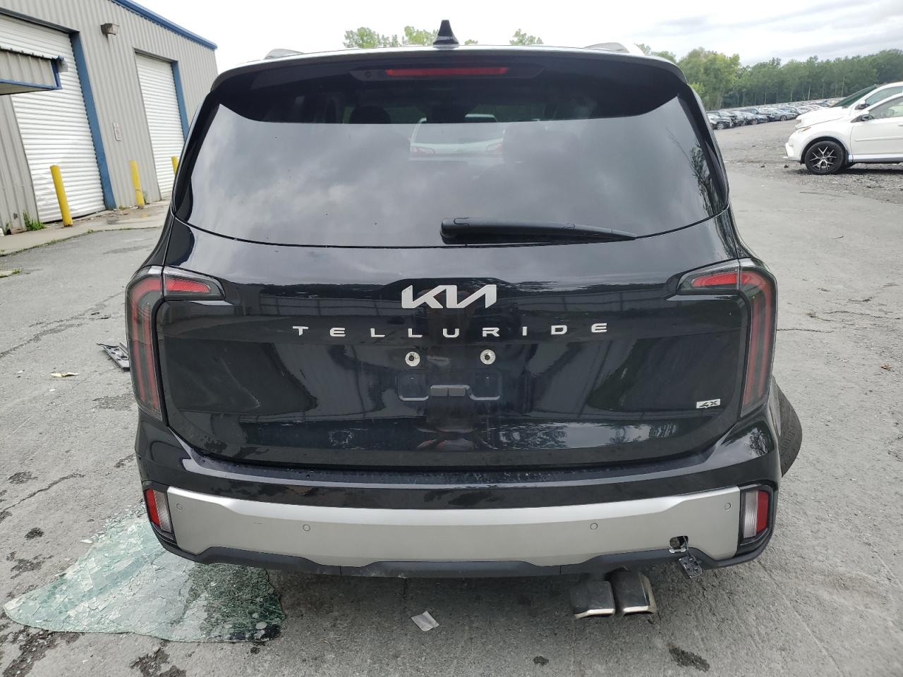 2023 Kia Telluride Sx VIN: 5XYP5DGC6PG345559 Lot: 65613214