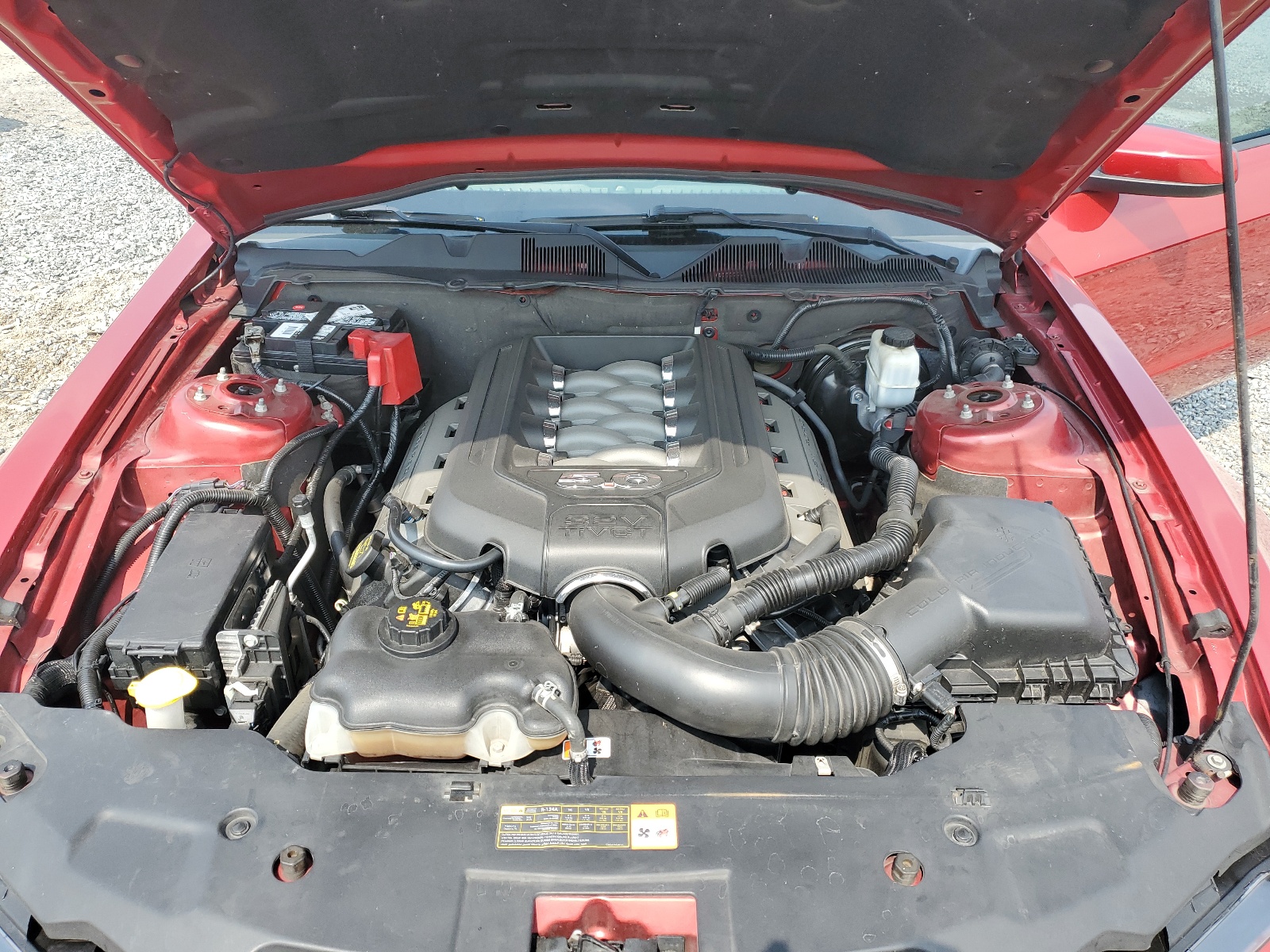 1ZVBP8CF5C5263883 2012 Ford Mustang Gt