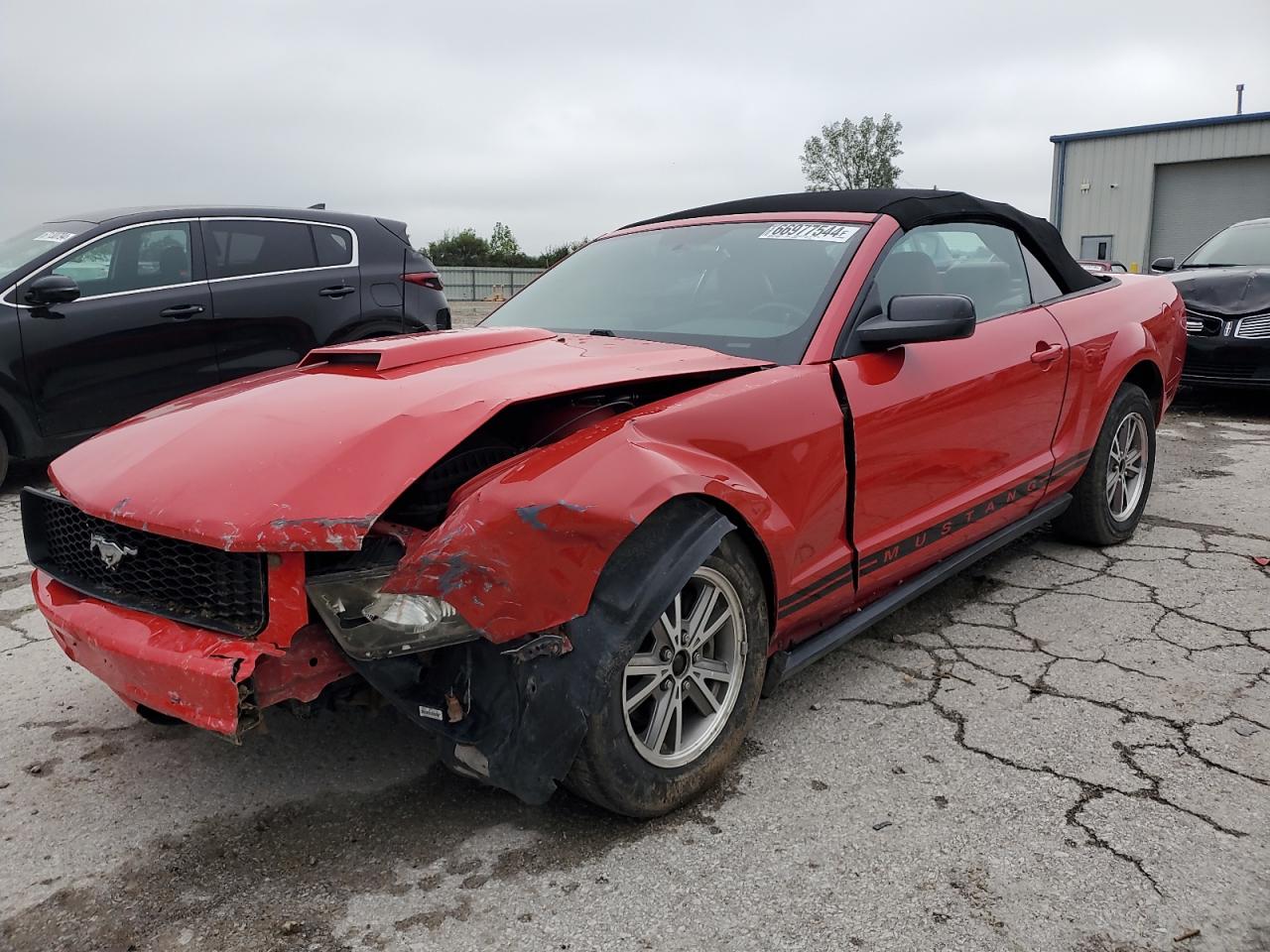 2005 Ford Mustang VIN: 1ZVHT84N655255242 Lot: 66977544