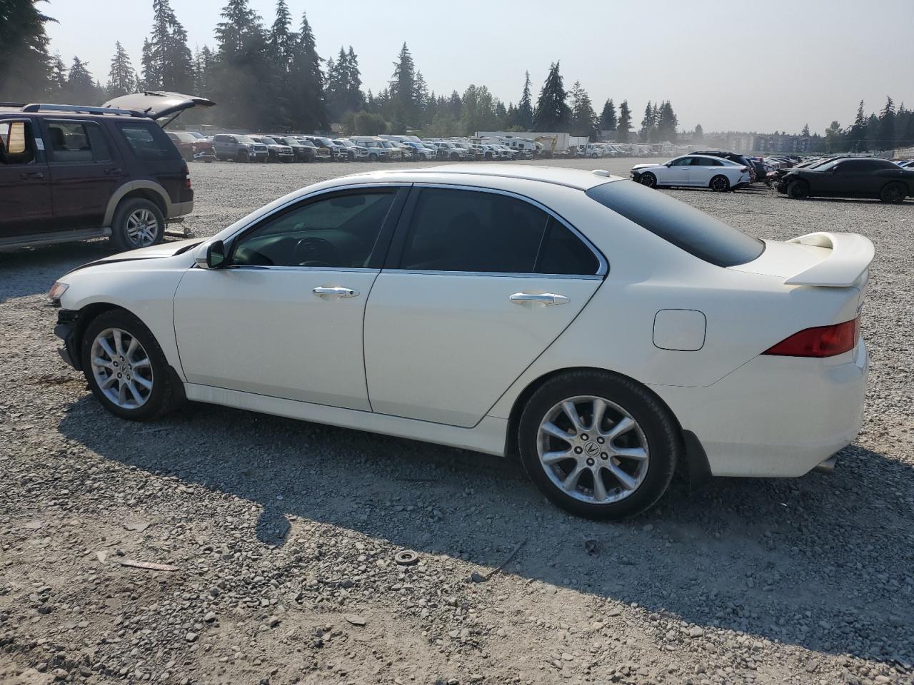 2006 Acura Tsx VIN: JH4CL96976C036501 Lot: 66042464