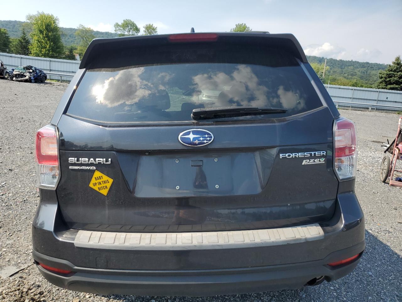 2017 Subaru Forester 2.5I Premium VIN: JF2SJAEC7HH536375 Lot: 66218964