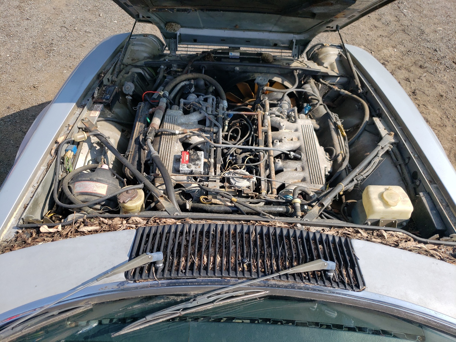 sajnv5843gc131039 SAJNV5843GC131039 1986 Jaguar Xjs