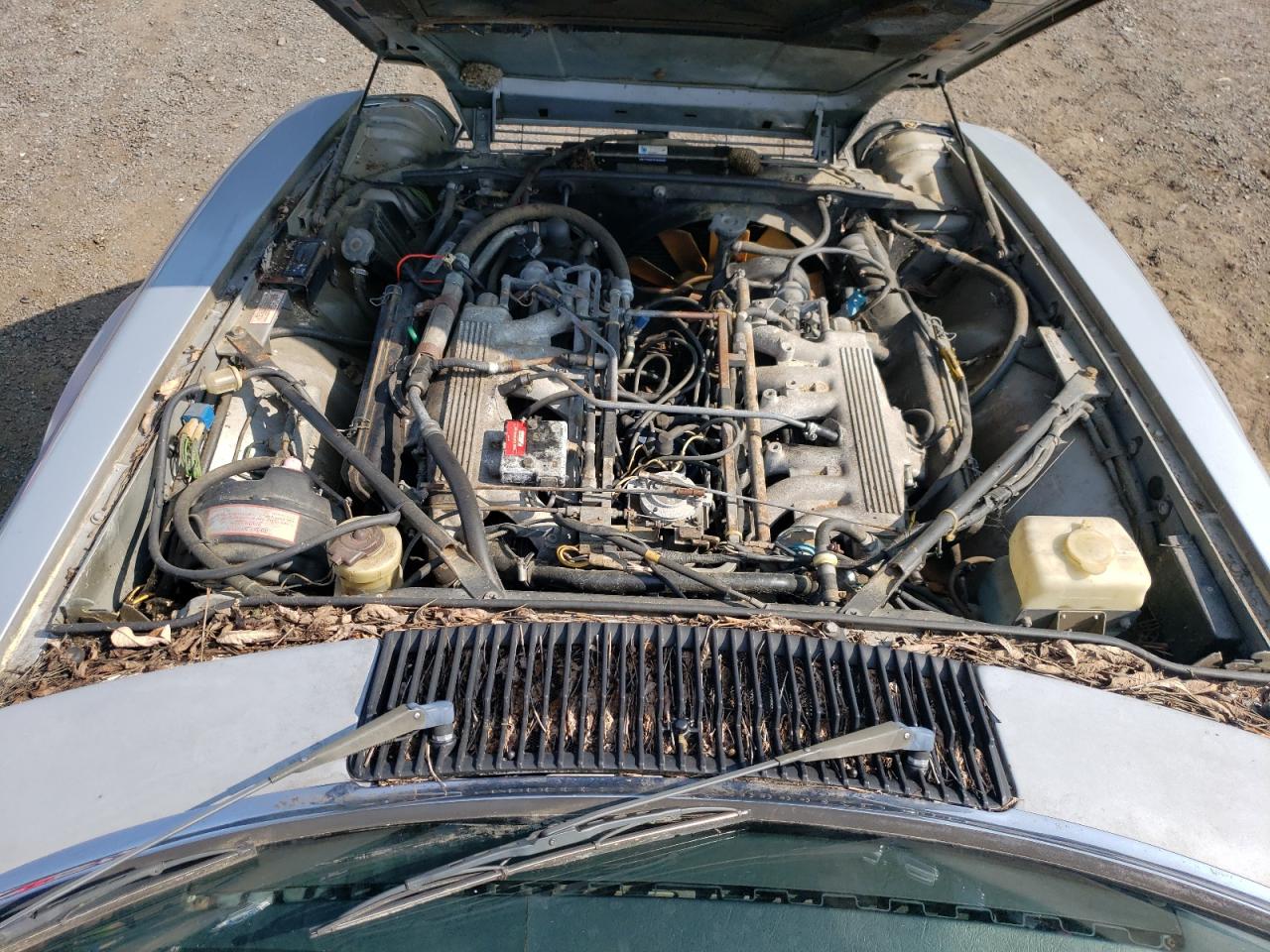 1986 Jaguar Xjs VIN: SAJNV5843GC131039 Lot: 67091114