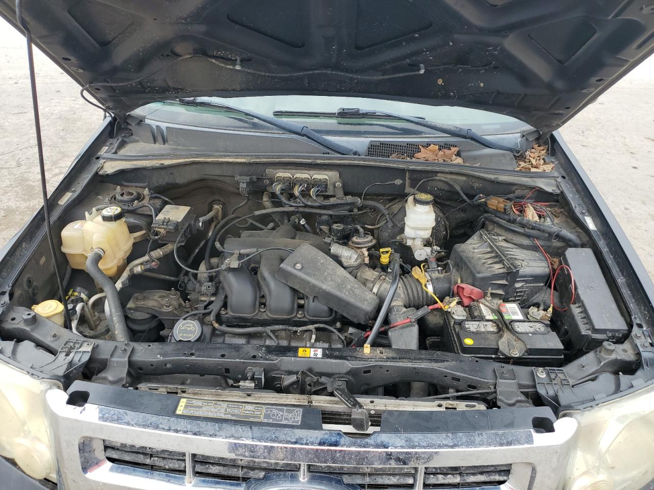 2008 Ford Escape Xlt VIN: 1FMCU93158KE50457 Lot: 66786284