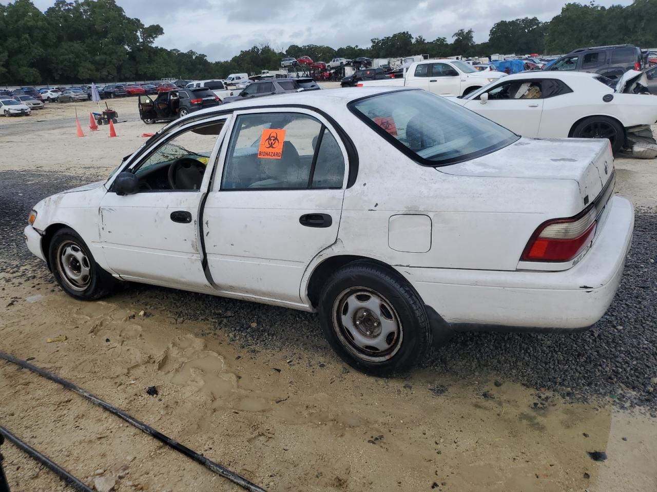 1997 Toyota Corolla Base VIN: 1NXBA02E7VZ548281 Lot: 68739084