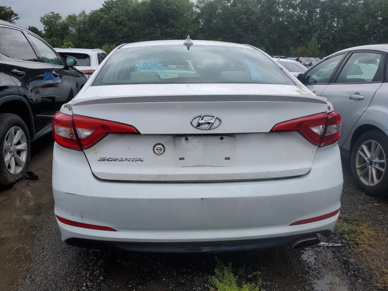 2017 Hyundai Sonata Se VIN: 5NPE24AF0HH592041 Lot: 66657274