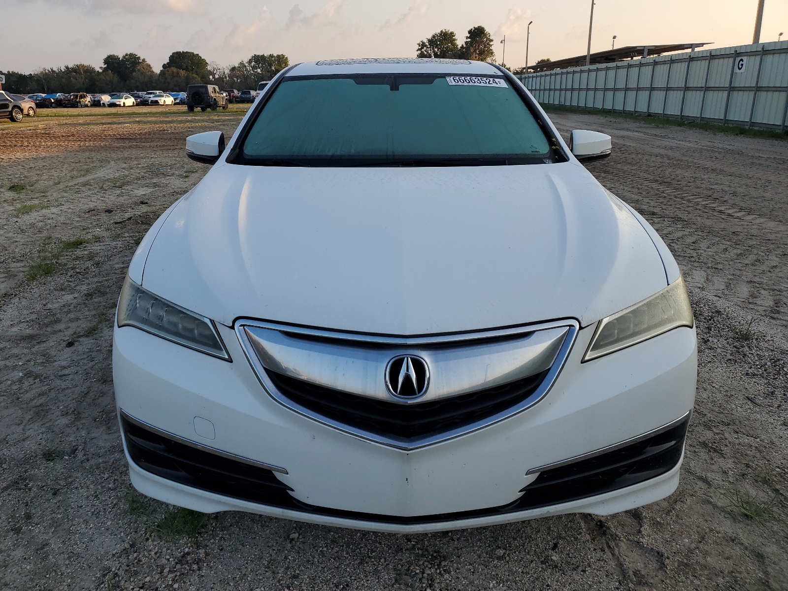 19UUB1F39GA006128 2016 Acura Tlx