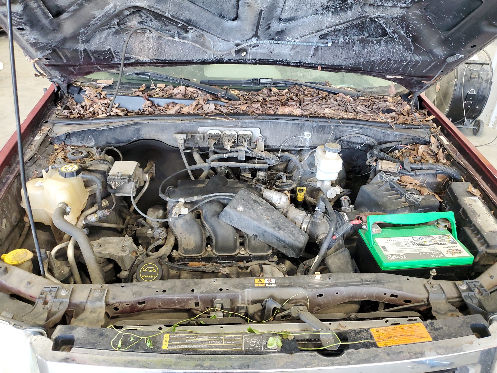 1FMCU03188KB52853 2008 Ford Escape Xlt