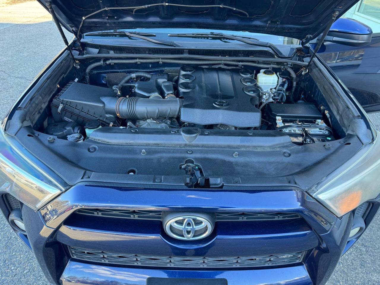 JTEBU5JR7E5151141 2014 Toyota 4Runner Sr5