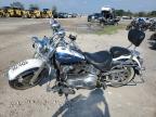 2005 Harley-Davidson Flstni  продається в Riverview, FL - Water/Flood