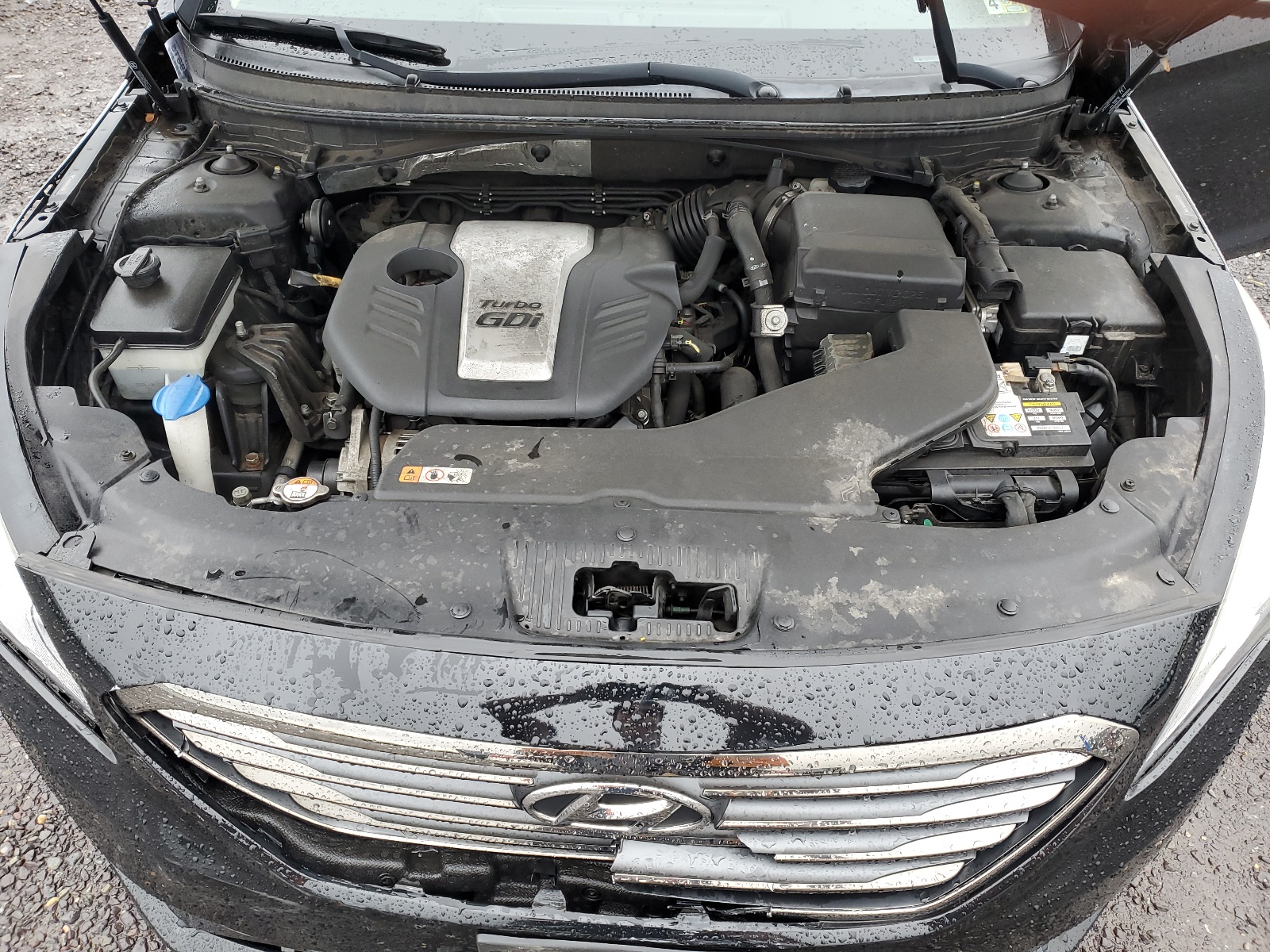 5NPE24AA5GH415729 2016 Hyundai Sonata Eco