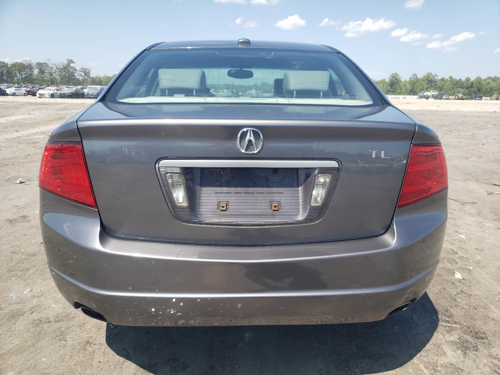 19UUA66266A064204 2006 Acura 3.2Tl