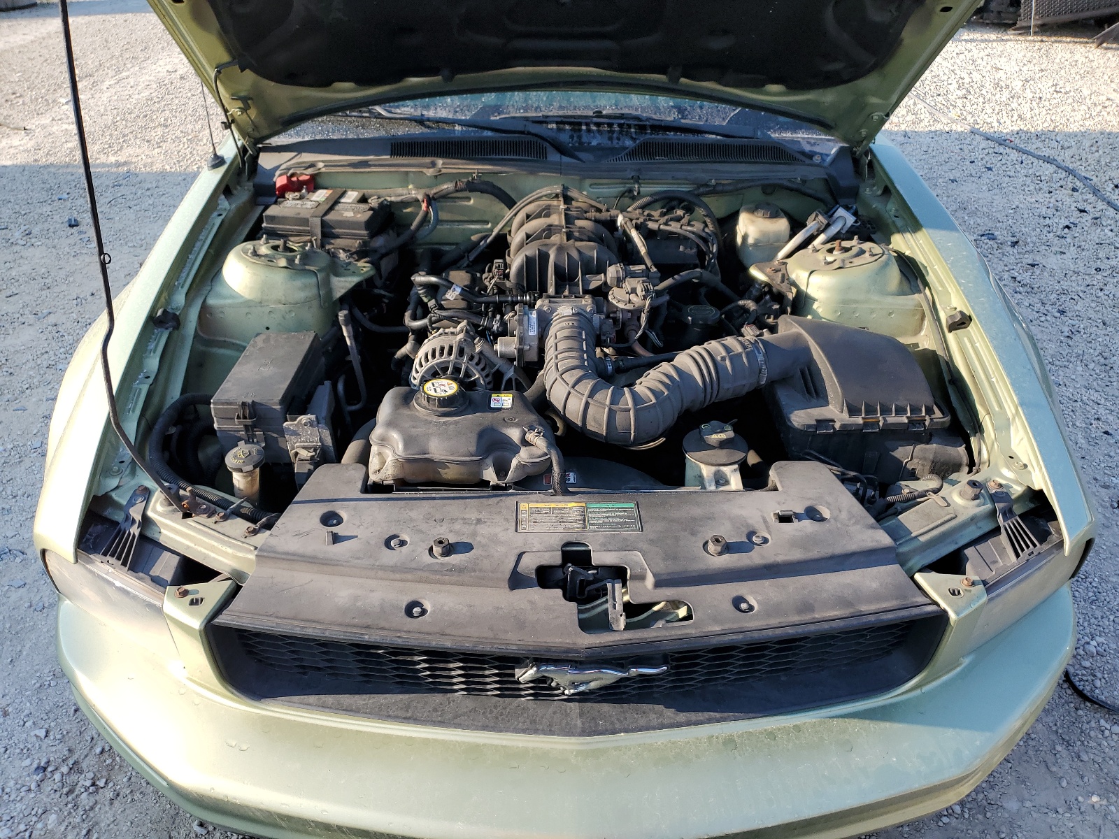 1ZVFT84N065179462 2006 Ford Mustang