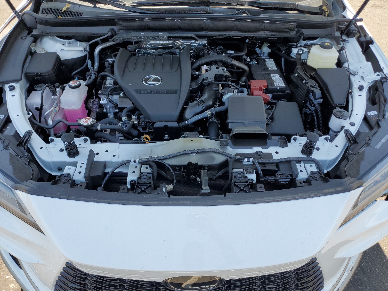 Фото: 2T2BAMCAXRC048542 - 11