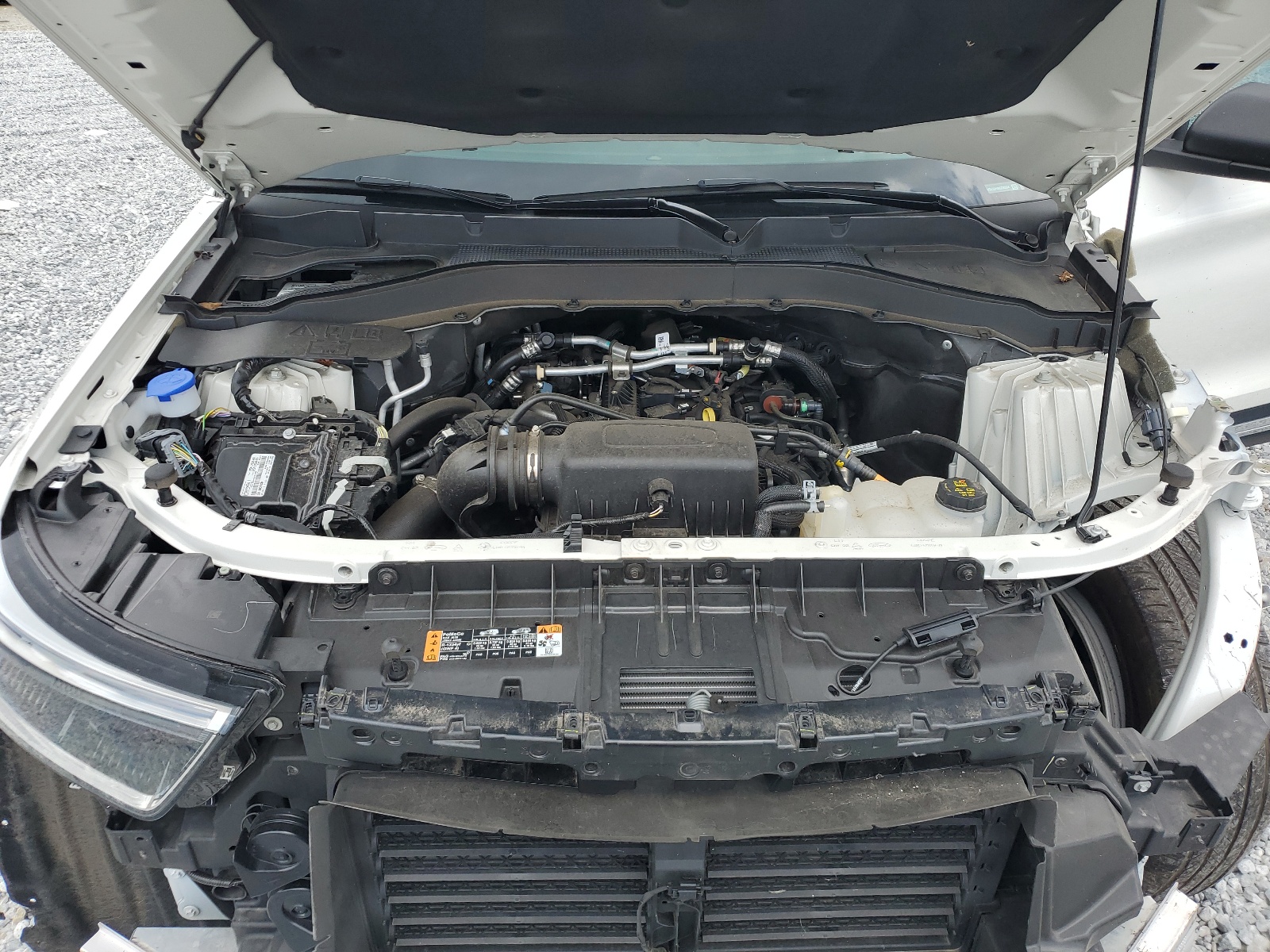 1FMSK7DH0NGC03394 2022 Ford Explorer Xlt