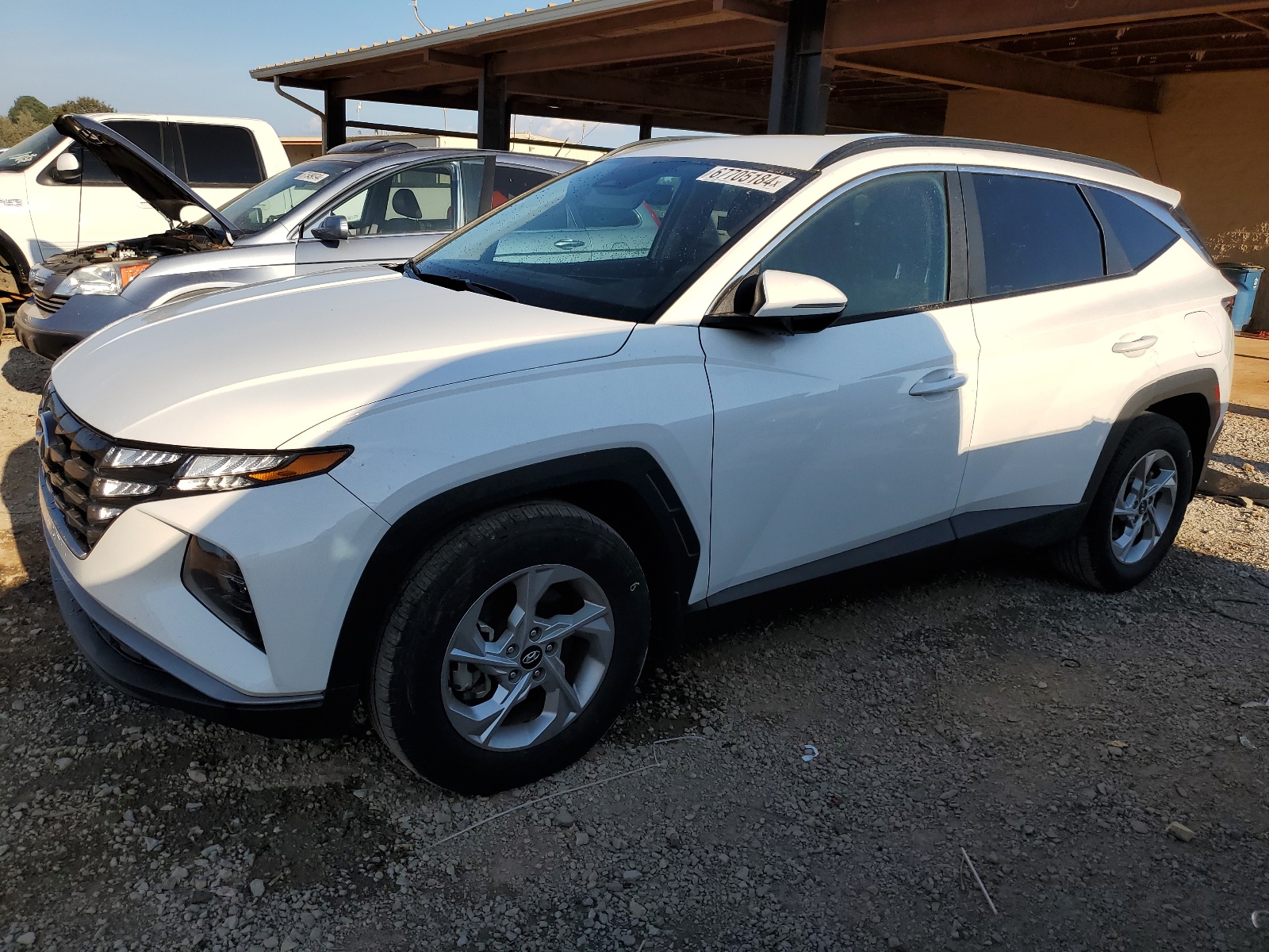 5NMJB3AE7PH243499 2023 Hyundai Tucson Sel 5NMJB3AE7PH243499 2023 Hyundai Tucson Sel
