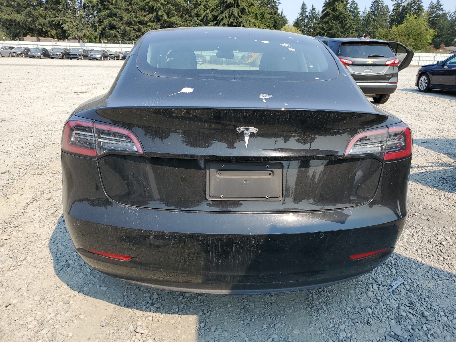 5YJ3E1EA4LF798773 2020 Tesla Model 3