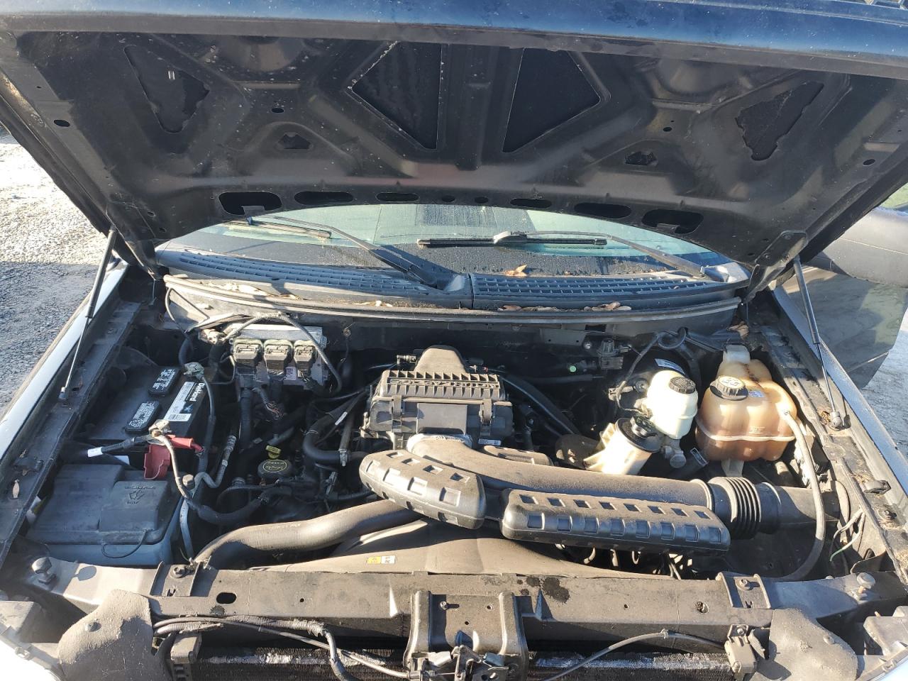 2006 Ford F150 Supercrew VIN: 1FTPW125X6FA49112 Lot: 67248244