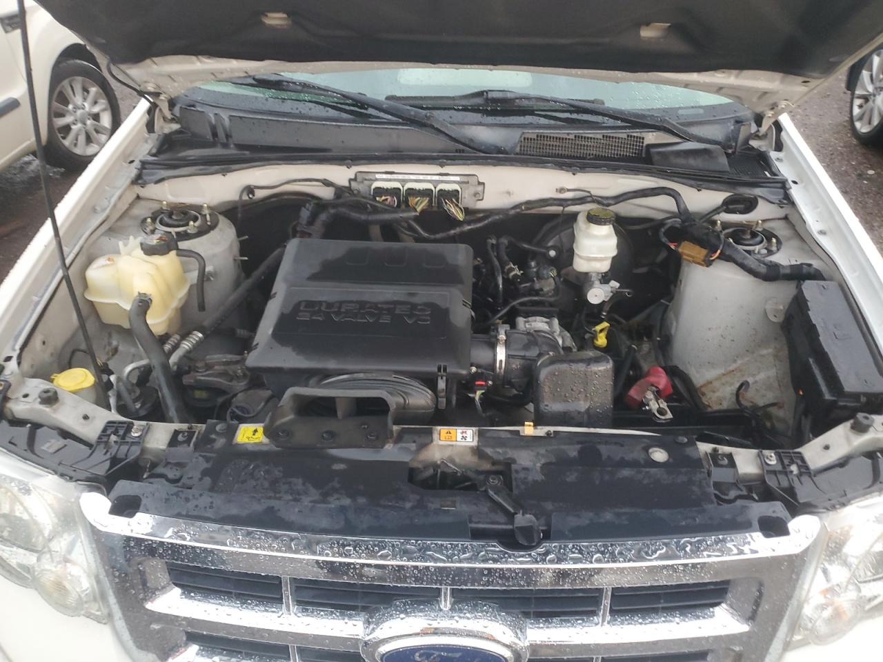 2011 Ford Escape Xlt VIN: 1FMCU0DG1BKC48866 Lot: 66612444