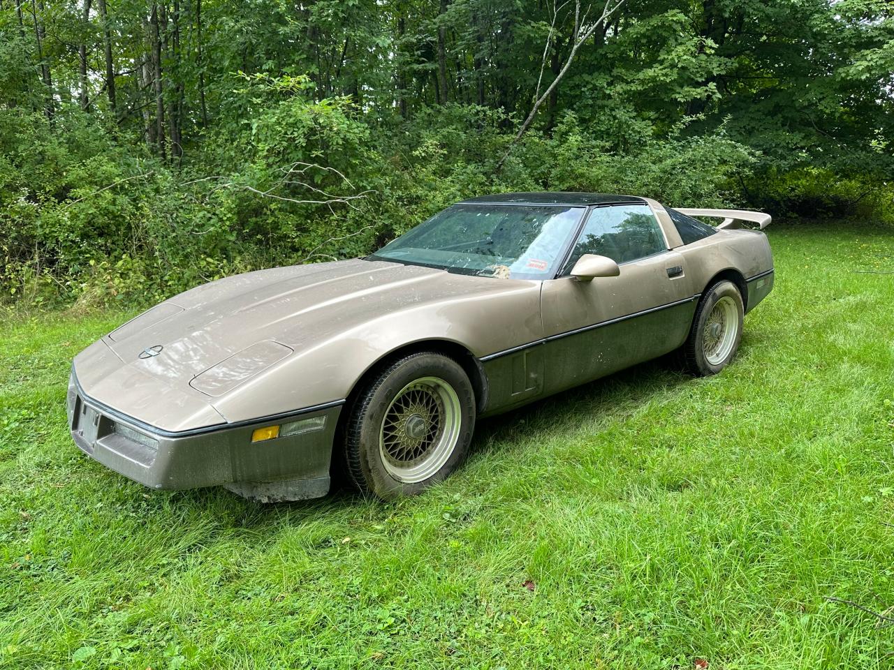 1984 Chevrolet Corvette VIN: 1G1AY078XE8022853 Lot: 68543784