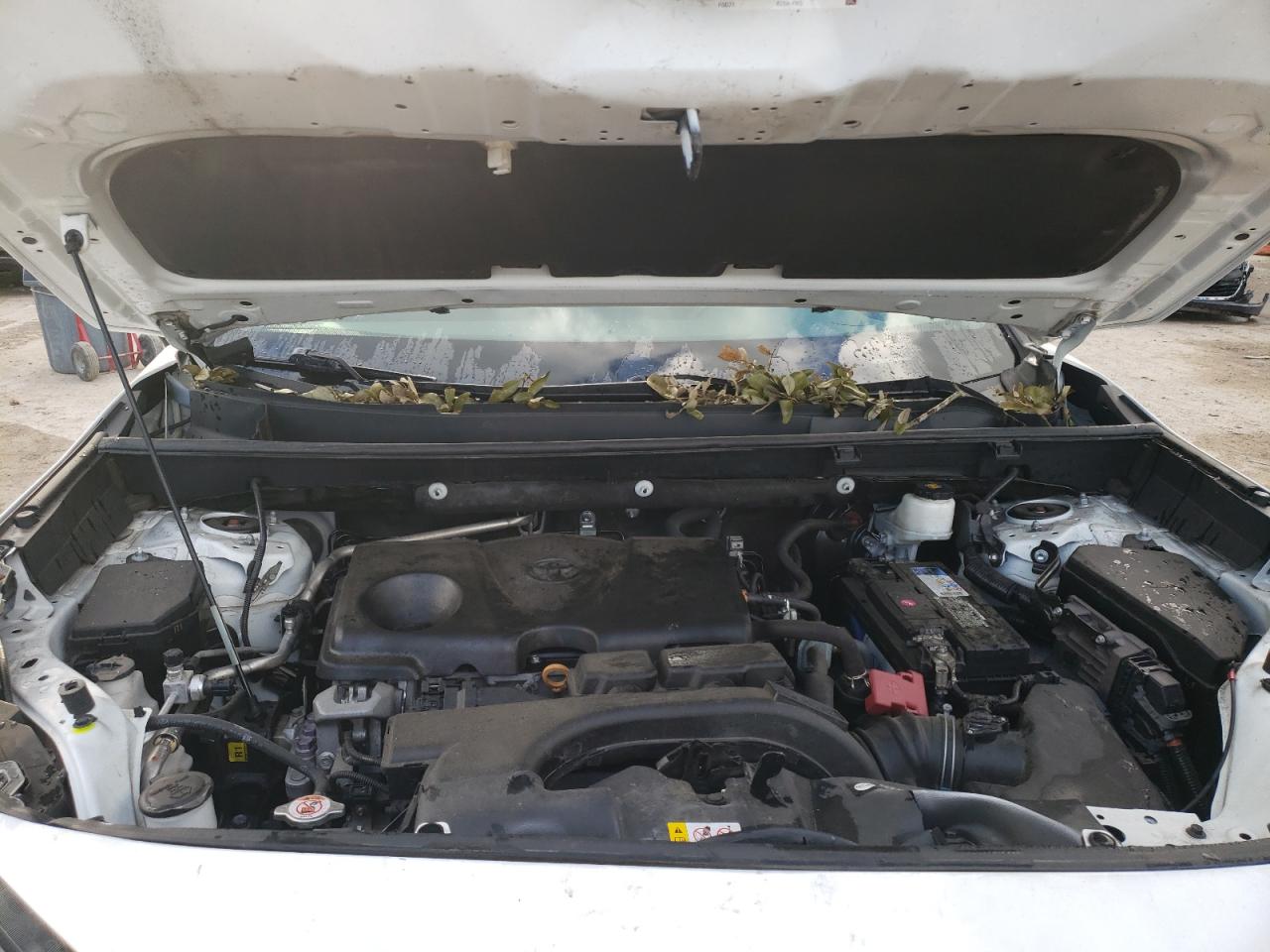 2020 Toyota Rav4 Le VIN: 2T3H1RFV1LC054349 Lot: 66734714