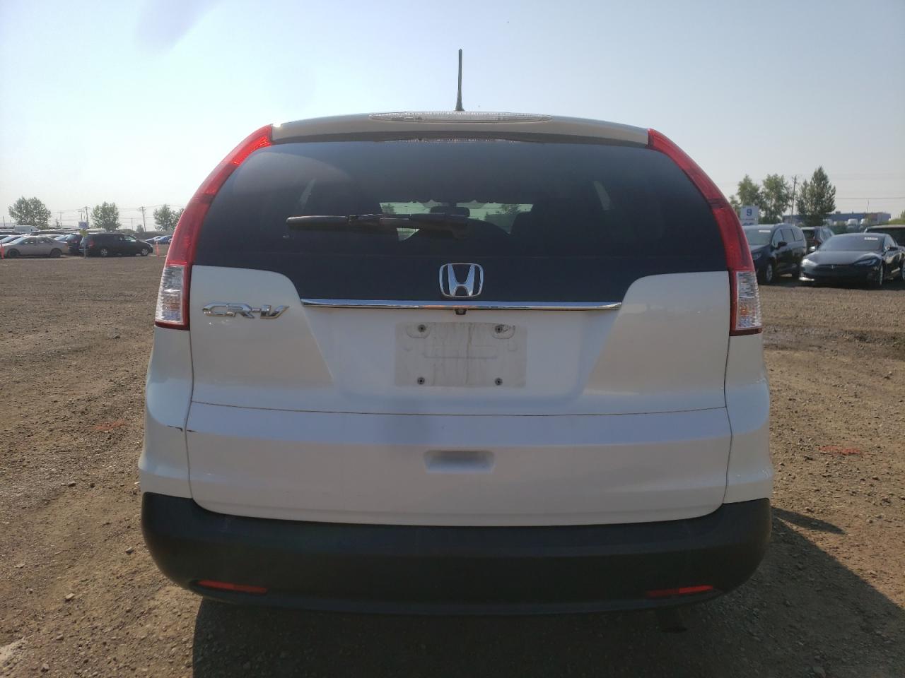 2014 Honda Cr-V Lx VIN: 2HKRM3H38EH003900 Lot: 66675624