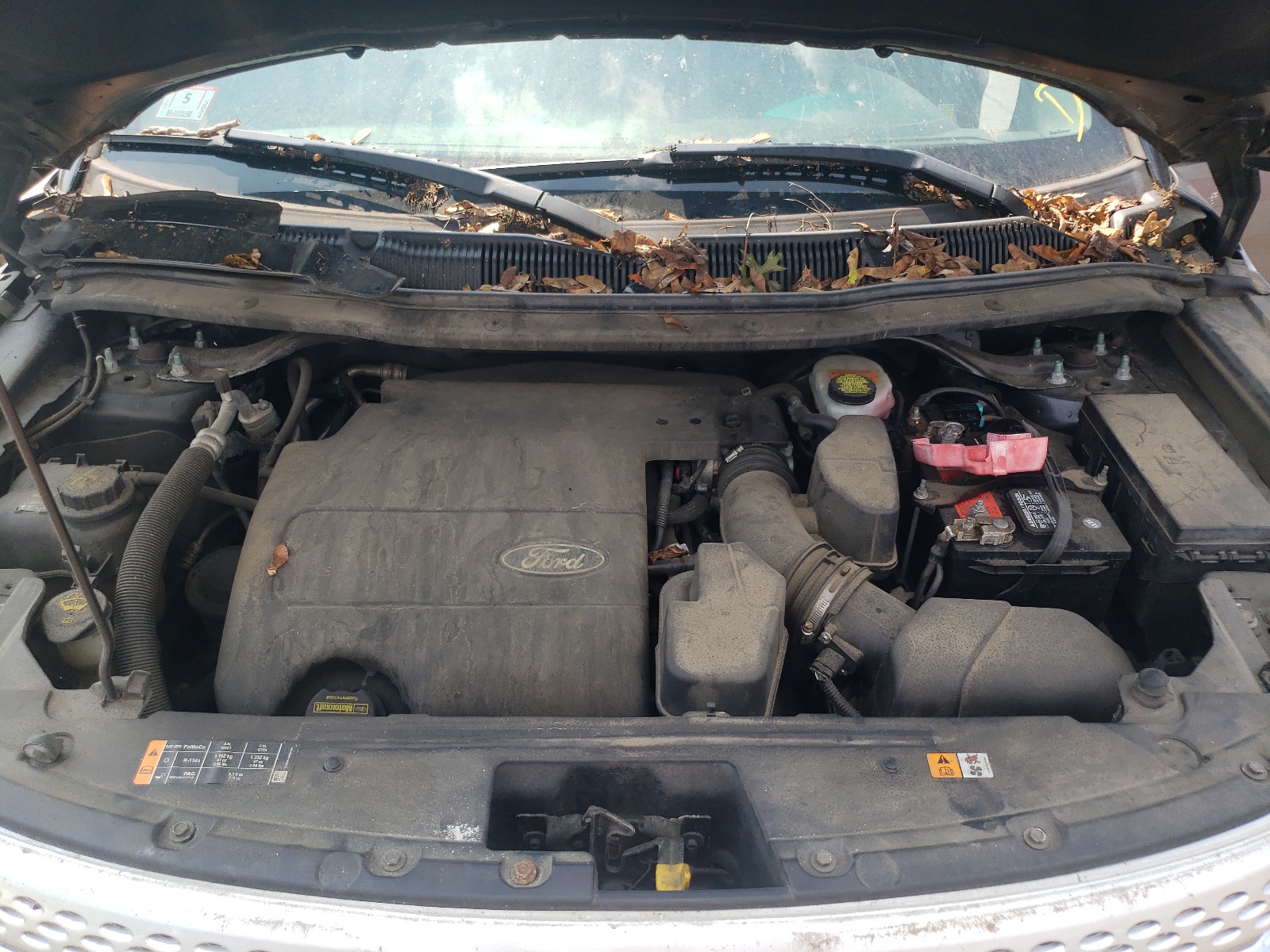 1FM5K8D80DGB11347 2013 Ford Explorer Xlt