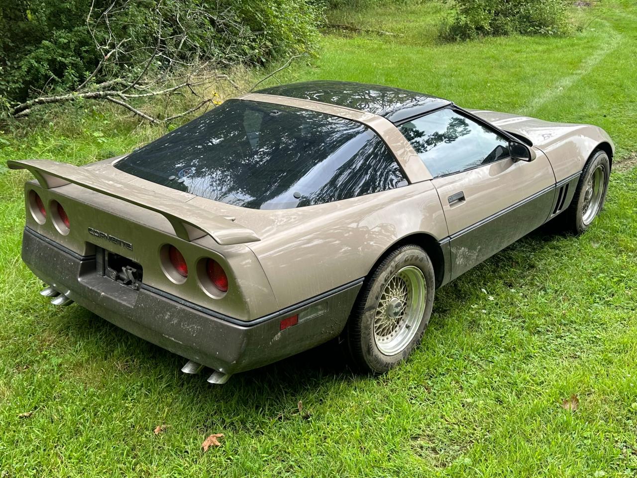 1984 Chevrolet Corvette VIN: 1G1AY078XE8022853 Lot: 68543784