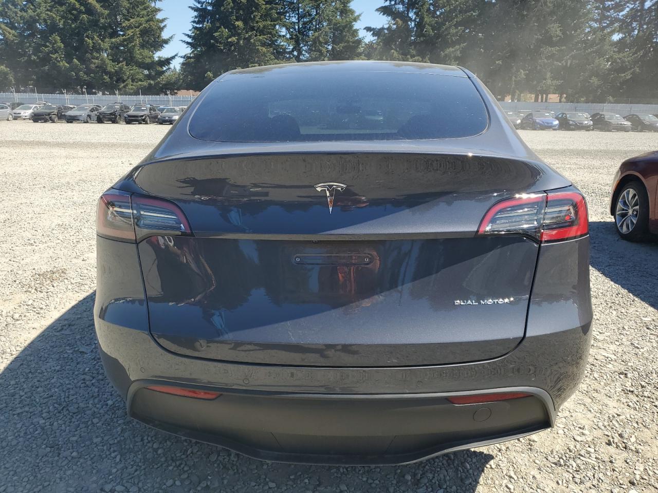 2022 Tesla Model Y VIN: 7SAYGDEE3NF533613 Lot: 68999724