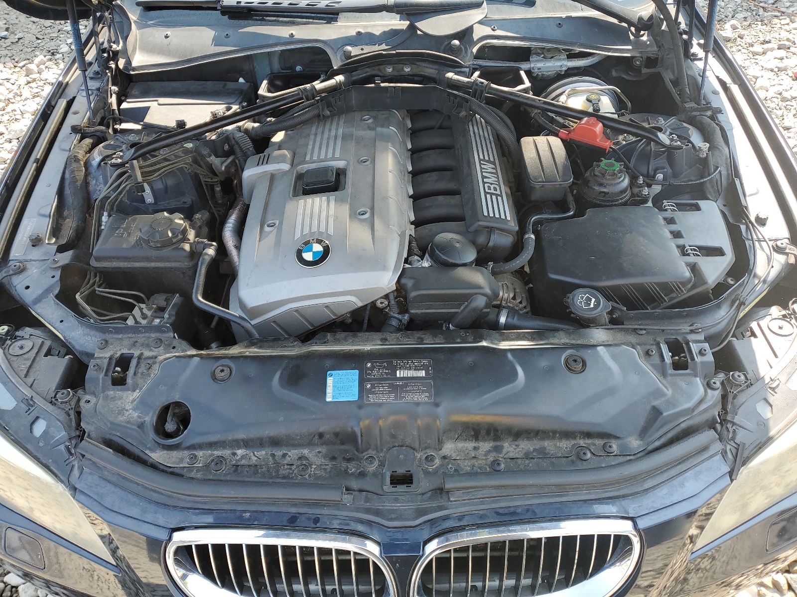 WBANN73566CN02961 2006 BMW 530 Xit