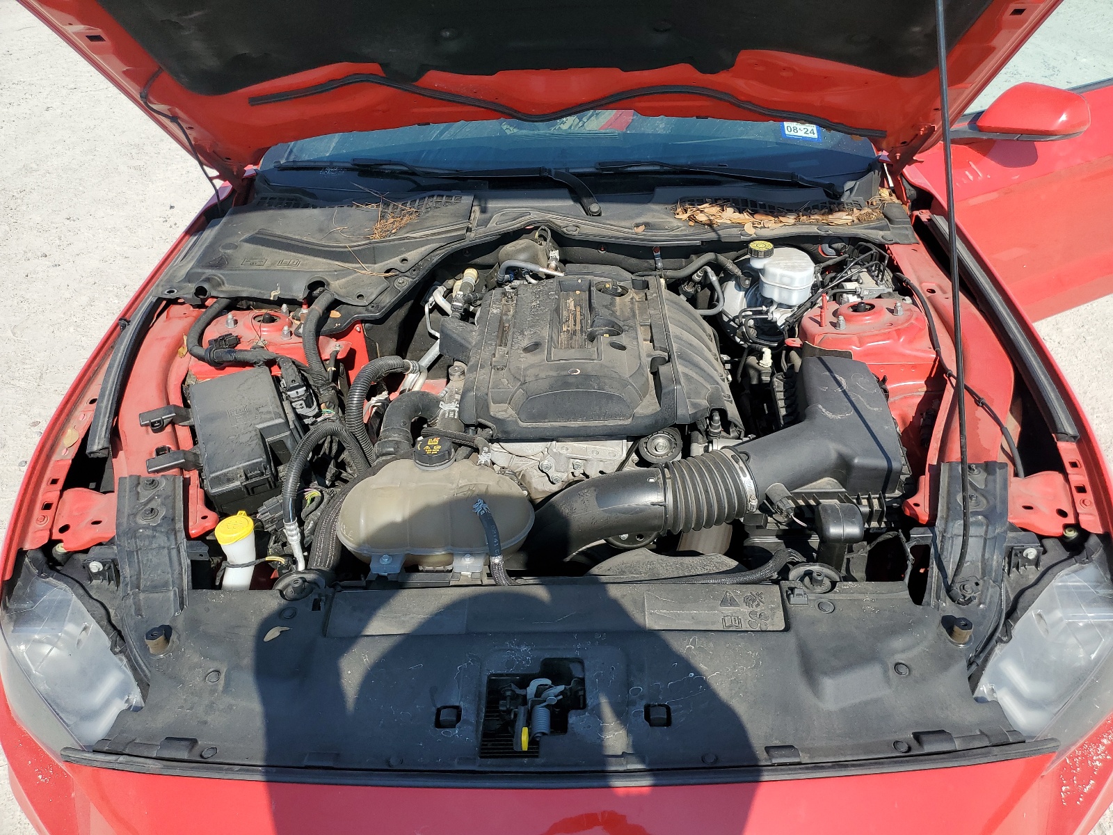 1FA6P8TH8K5168955 2019 Ford Mustang