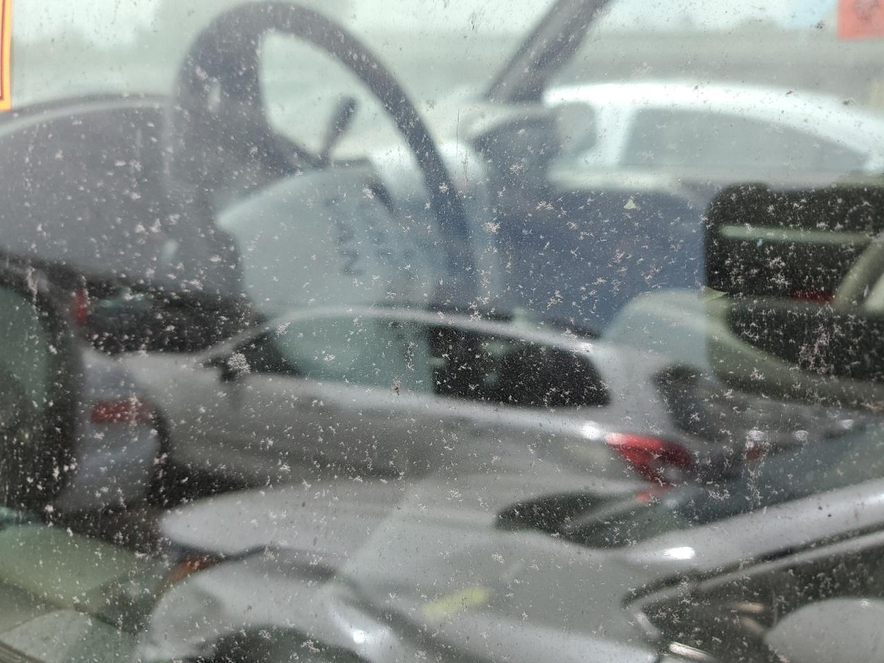 2003 Chevrolet Astro VIN: 1GNDM19X13B136259 Lot: 64882724