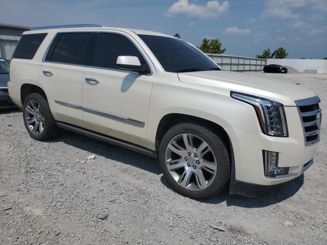 Паркетники CADILLAC ESCALADE 2015 Білий