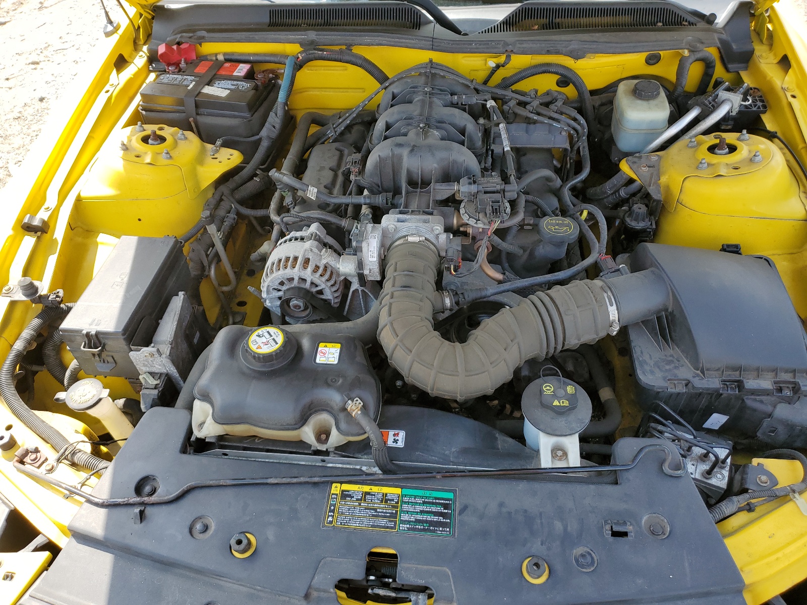 1ZVFT80N765100973 2006 Ford Mustang