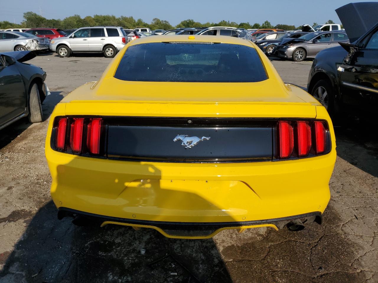 2016 Ford Mustang VIN: 1FA6P8TH4G5311195 Lot: 68484024