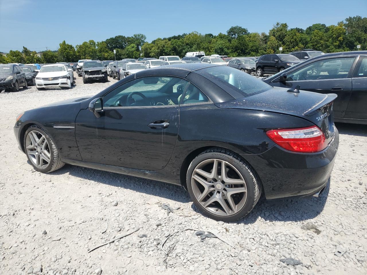 VIN WDDPK4HA5DF066811 2013 MERCEDES-BENZ SLK-CLASS no.2