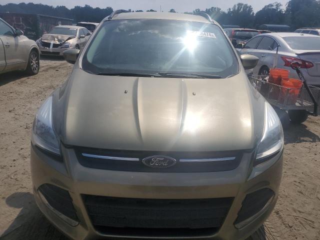  FORD ESCAPE 2013 Green