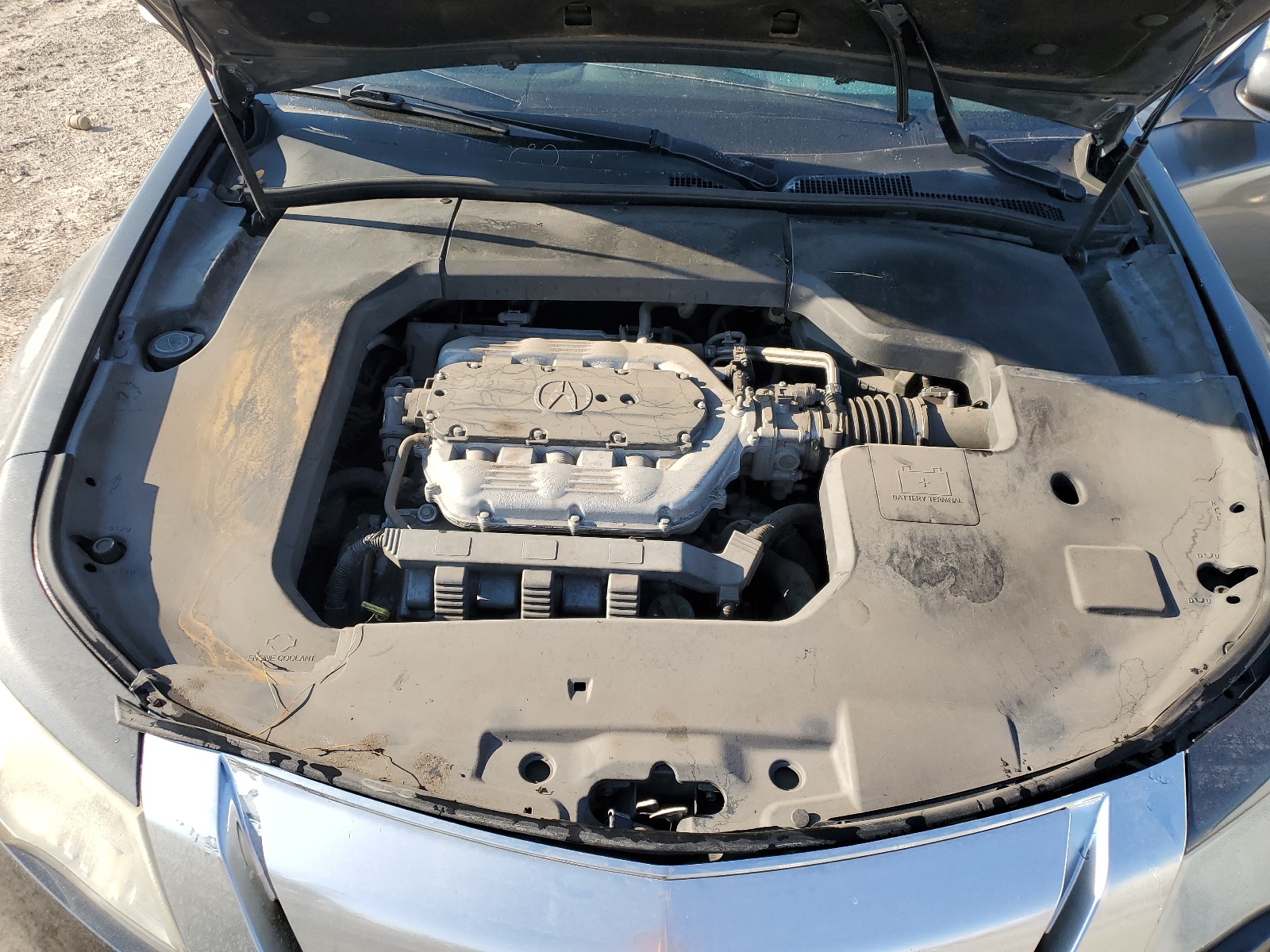 19UUA8F26AA022099 2010 Acura Tl