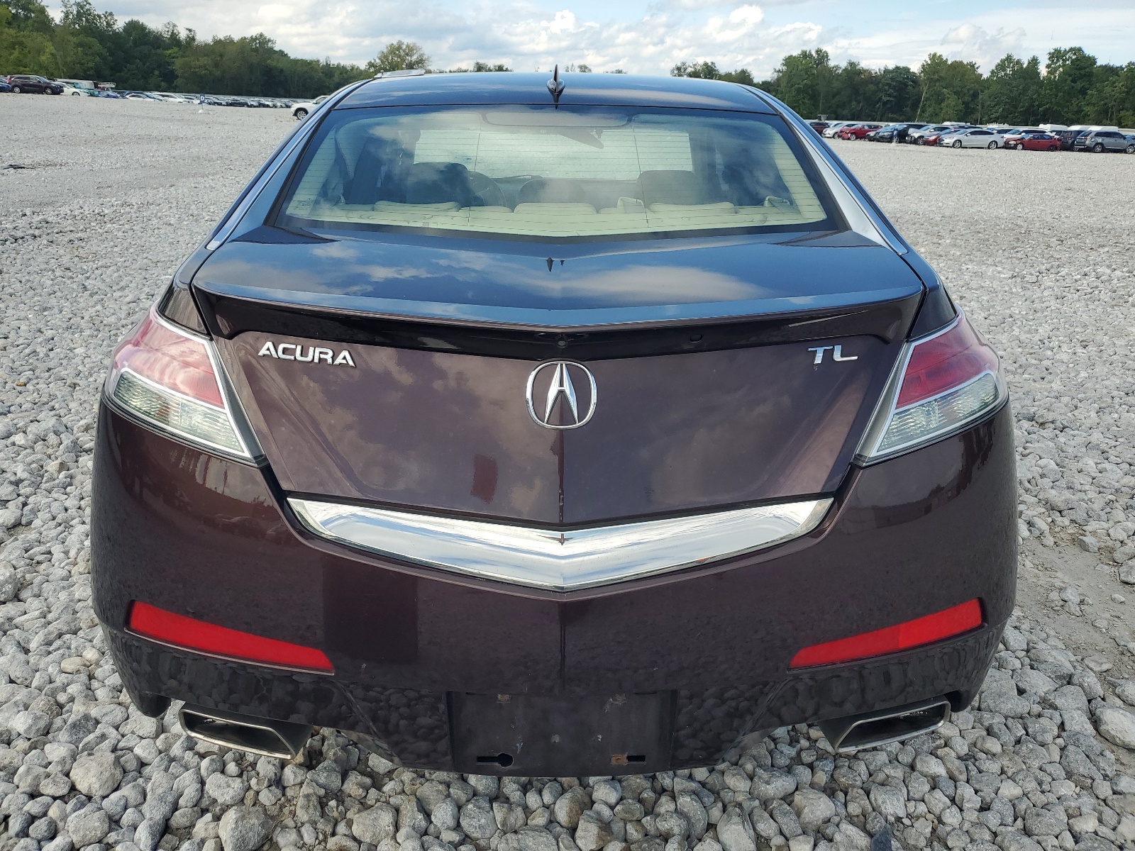 19UUA86589A026256 2009 Acura Tl